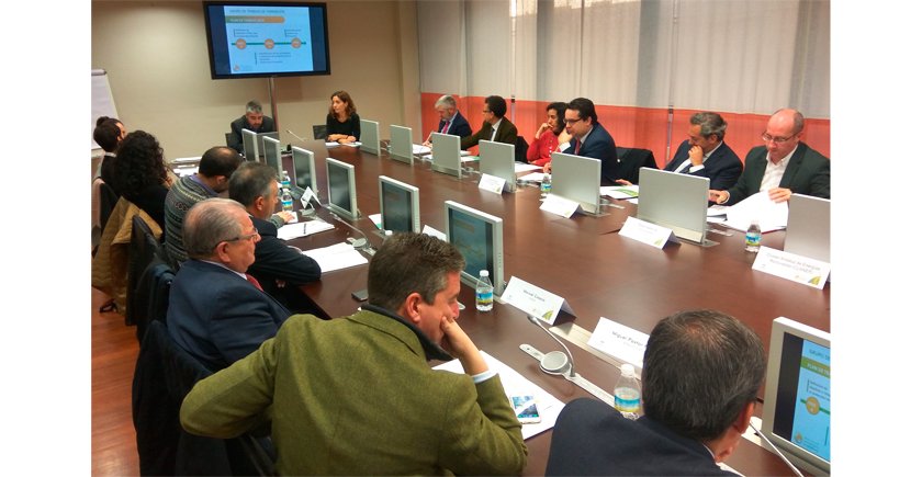 Instantánea de la segunda reunión de la Mesa de Autoconsumo de Andalucía.
