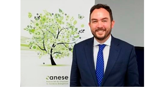 Luis Cabrera es el nuevo presidente de ANESE.