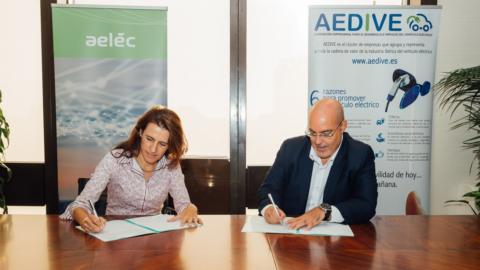 Paloma Sevilla, directora general de AELÉC, y Arturo Pérez de Lucia, gerente de AEDIVE, en el momento de la rúbrica.