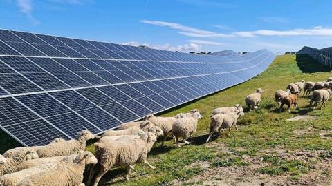 La primera planta solar que Solarpack quiere destinar a este nuevo servicio se encuentra en la provincia de Cáceres.