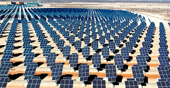 Anpier critica grandes parques fotovoltaicos