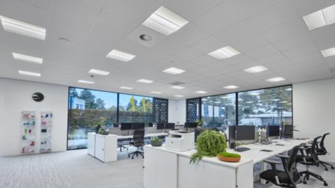 Opple Lighting comparte una guía para la iluminación de oficinas centrada en personas.